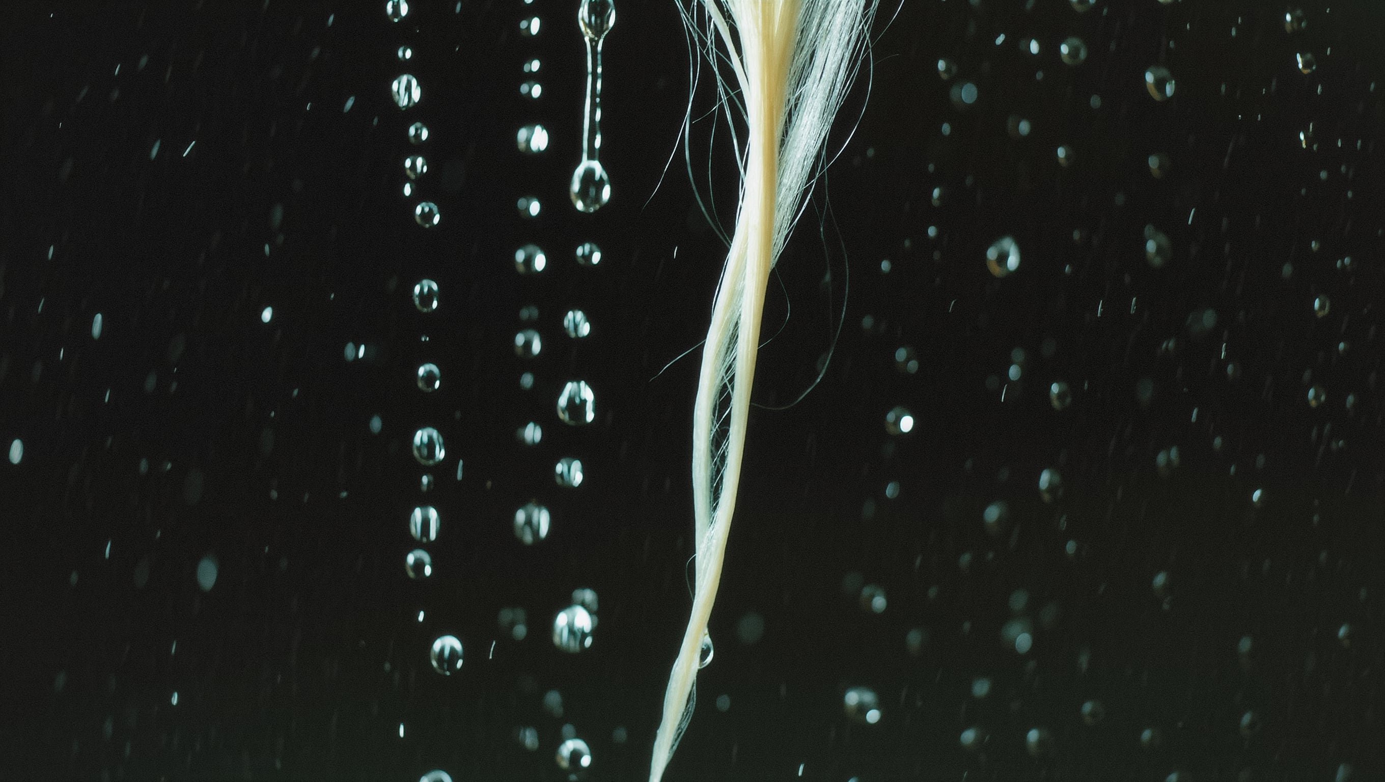 Nasse blonde Haarstraehne mit Wassertropfen im Gegenlicht vor dunklem Hintergrund, glaenzende Oberflaeche